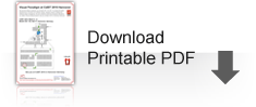 Download PDF about Visual Paradigm at CeBIT 2010