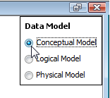 select conceptual model
