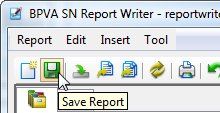 save report