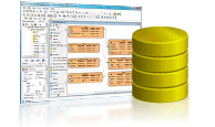 Database Design