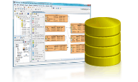 Database Design