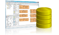 Database Design