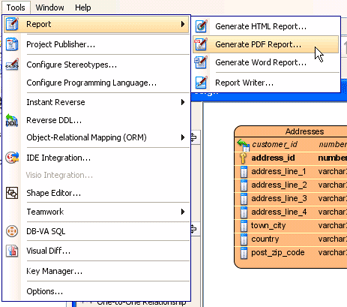 Generate ERD to PDF report