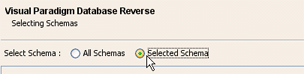 Reverse partial database schema