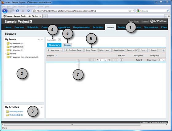 Issue view