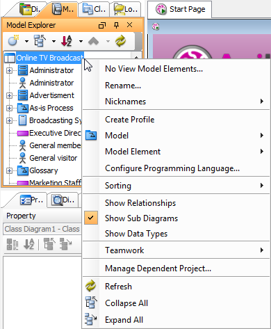 The pop-up menu of project node in Model Explorer