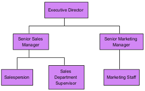 Sample organization chart