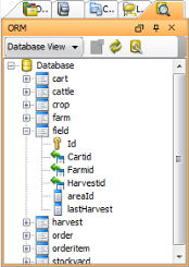 An ORM pane (Database view)