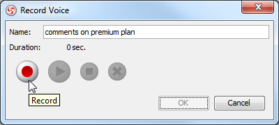 Click Record in Record Voice dialog box