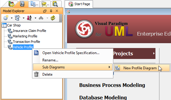 Create a profile diagram