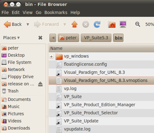 linux created vmoptions in bin