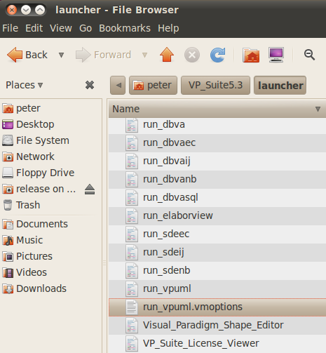 linux created vmoptions in launcher