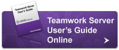 VP-TS User's Guide Online