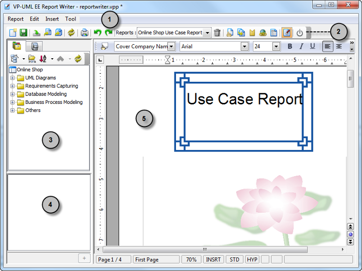 report writer window