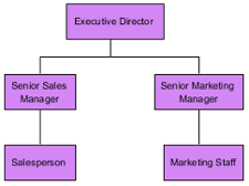 Organization chart sample
